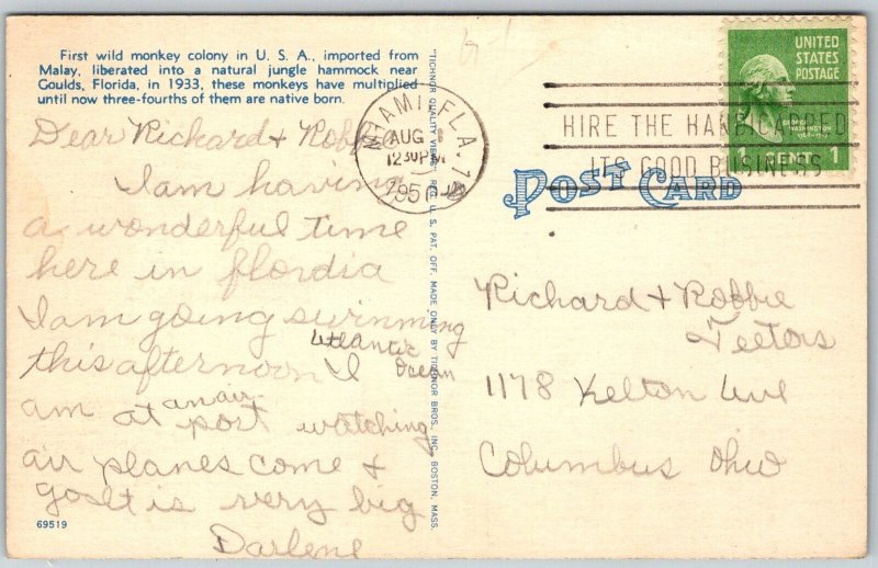 Miami Florida 1950 Postcard Monkey Jungle Wild Monkeys