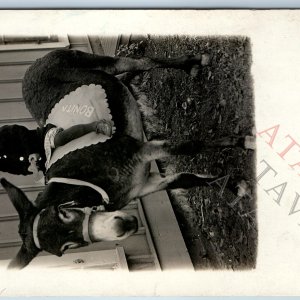 c1910s Cute Little Boy Ride Donkey RPPC Bonita Child Happy Kid Smile Kennes A191