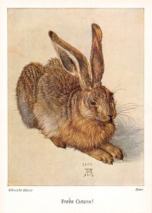 Art by Albrecht Duerer Hase Rabbit vintage postcard B743