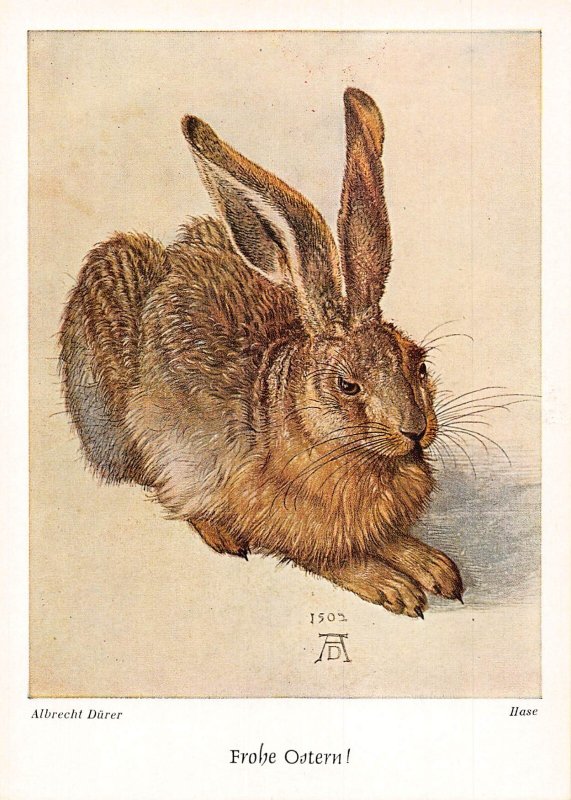 Art by Albrecht Duerer Hase Rabbit vintage postcard B743