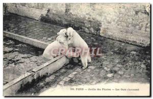 Old Postcard Bear Paris Garden plants Bears s & # 39amusent