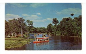 FL - Silver Springs. Glass Bottom Sightseeing Boats on Silver River