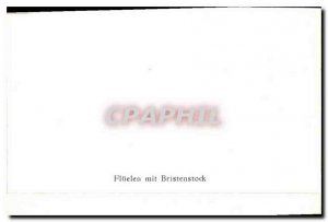 Postcard Modern Fluelen put Bristenstock