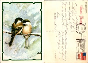 Black-Capped Chickadees (16700