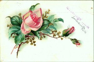 Greetings from Leonardsville New York Postcard roses 1907