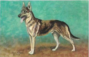 German Shepherd Working Dog from Painting by Lewis H Larsen of Utah