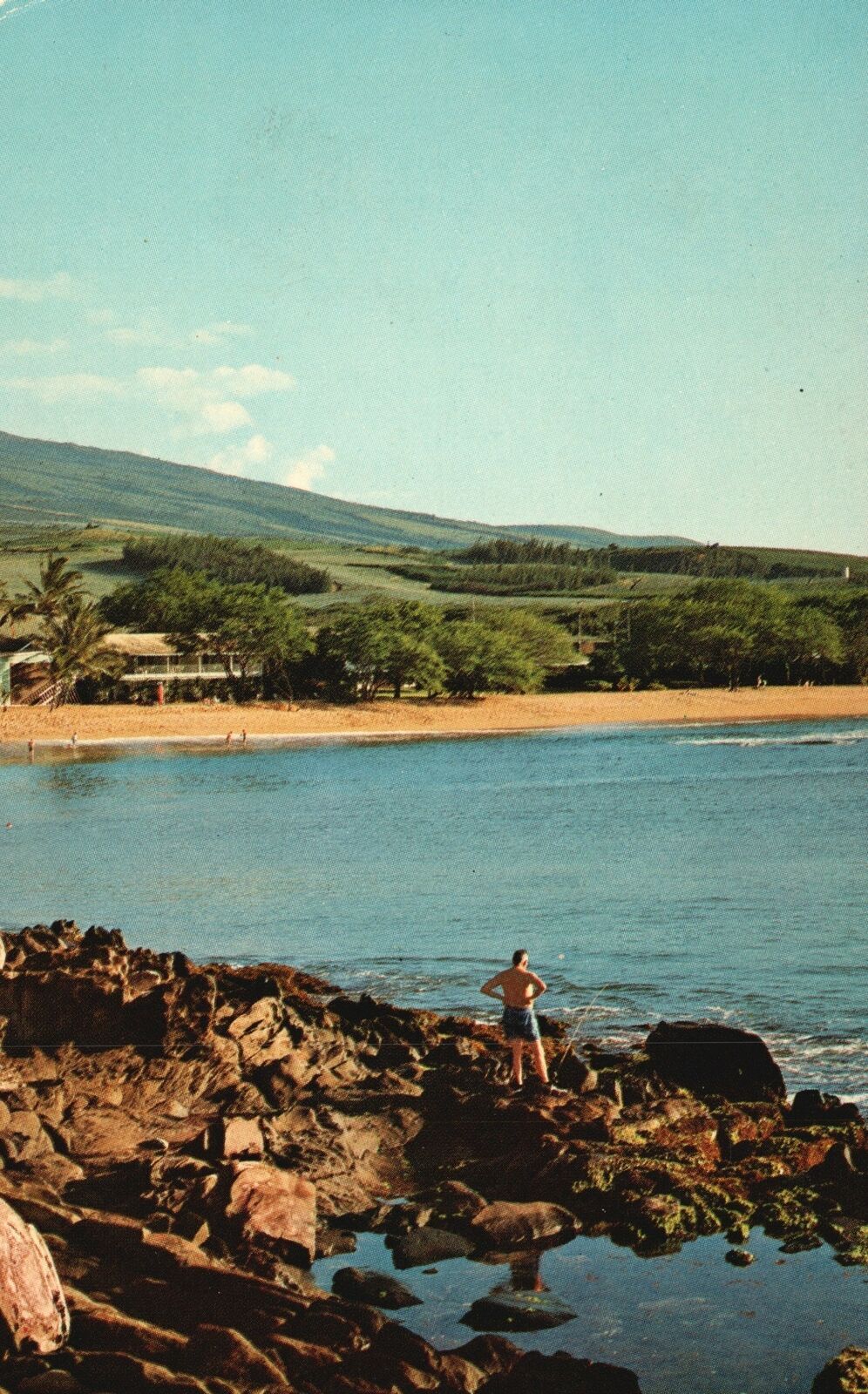 Vintage Postcard Glorious Napili Bay Hale Beach Apartments Lahaina Maui
