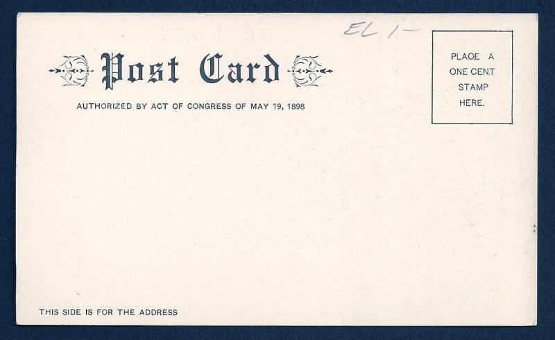 Wilder Cascade Brattleboro Vermont unused c1905