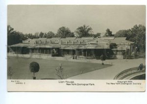 499087 USA 1906 NEW YORK ZOO Zoological Park lions houses photographic photo