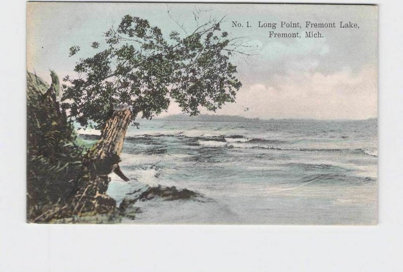 PPC POSTCARD MICHIGAN FREMONT LONG POINT FREMONT LAKE HAND-COLORED 