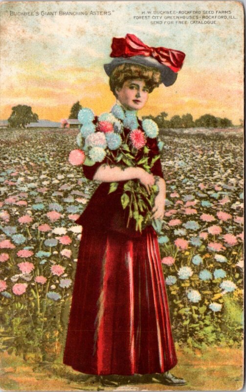 Postcard advert IL Rockford - Woman Holding Buckbee's Giant Branching Asters