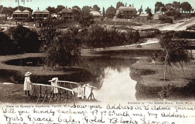 Vintage Postcard 1900's View On Queen's Gardens Business Park Perth, Australia