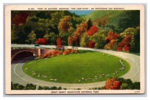 Loop Over on Newfound Gap Hwy Great Smokey Mountains UNP Linen Postcard N25