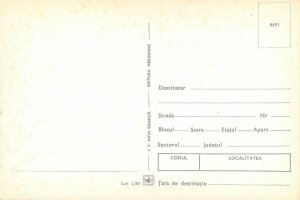 Postcard Animals cat