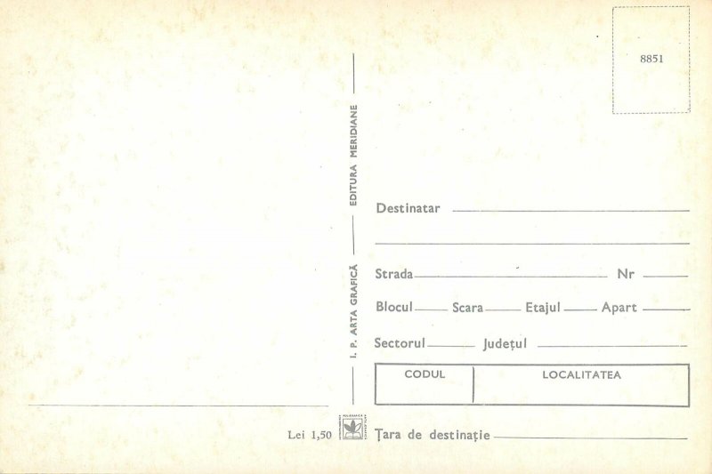 Postcard Animals cat