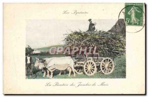 Old Postcard Folklore Pyrenees The re-entry of the leg but Hitch