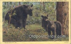 Great Smokey Mountains National Park Bear Unused 