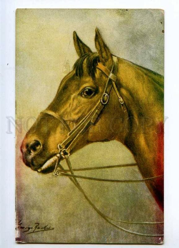 234807 Portrait of HORSE Vintage Salmon Ltd #3353 postcard