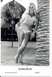 Beautiful Actress, Linda Scott, Swimsuit, Bikini, Legs, Sexy Girl, Pretty Woman