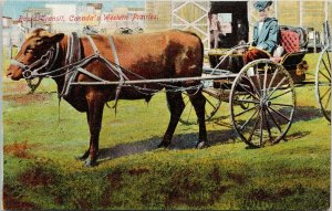 Rapid Transit Canada's Western Prairies Cow Wagon Unused Postcard G13