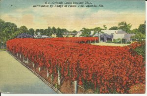 Orlando,Florida, Orlando Lawn Bowling Club, Surrounded By Hedge of Flame Vine