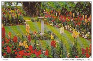 A brilliant part of Par-la-ville gardens in Hamilton, Bermuda, 40-60s