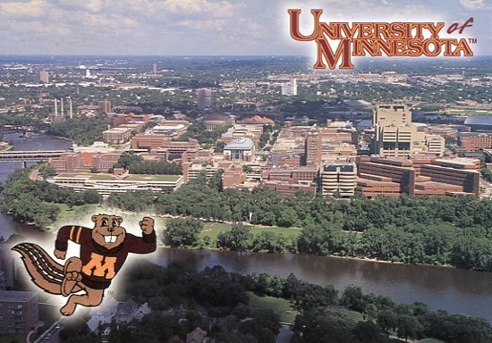 UNINVERSITY OF MINNESOTA