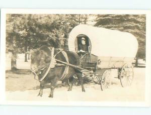 rppc Pre-1942 ANTIQUE COVERED WAGON PULLED BY BUFFALO AC8333