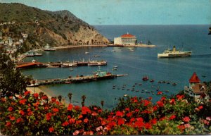 California Santa Catalina Island S S Catalina Entering Avalon Bay 1956