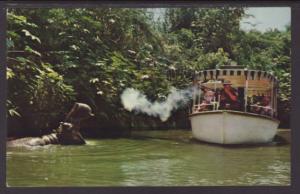 Adventureland,Hippo,Disneyland,CA Postcard 
