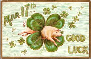 St Patrick's Day Pig Jumps Through Shamrock Embossed c1910 Postcard W70