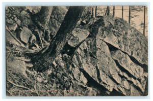 c1910 Mountain Precipice Delaware Water Gap Pennsylvania Vintage Postcard 