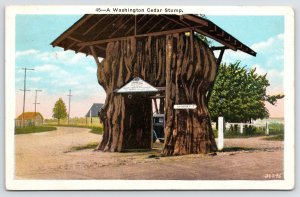 Arlington-Snohomish Washington~A Cedar Stump Relic You Can Drive Thru If Careful 