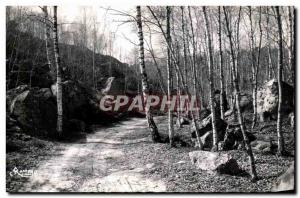 Postcard Modern Milly La Foret Undergrowth