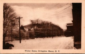 New York Livingston Manor Winter Scene