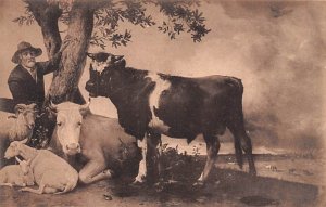 Far Famed 'Bull' by Paulus Potter Mauritshuis - 's Gravenhage Artist Unused 