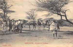 B91626 dirre daua ethiopia africa a convoy of camels types folklore