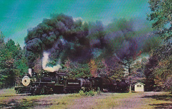 Reader Railroad 108 Prairie Type Locomotive at Ames Arkansas