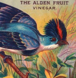 1880s The Alden Fruit Vinegar Thomas Earl's Groceries Lovely Birds Lot Of 3 #6W