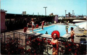 Americana Motel Anaheim California Postcard Pool Bathing Beauty Diving Board