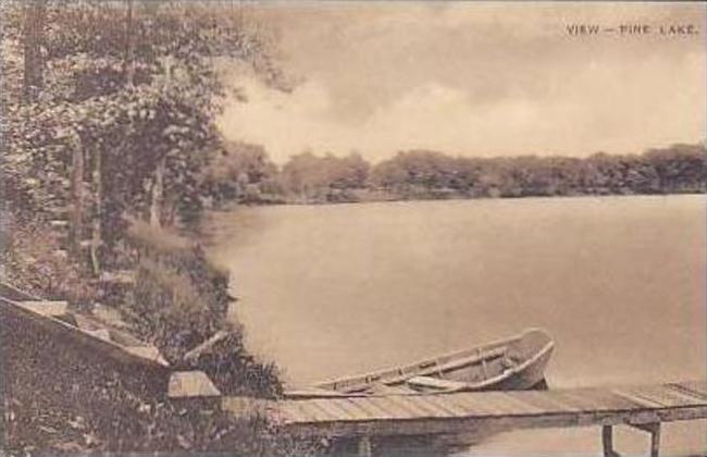 Michigan View Of Pine Lake Albertype