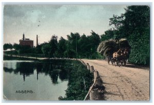 1908 Ved Kaals Molledam Fishing Pond in Assens Denmark Barn Cart Postcard