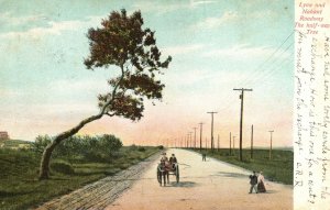 Vintage Postcard 1906 Lynn And Nahant Roadway The Half-Way Tree Massachusetts MA