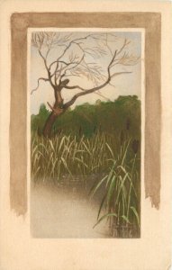 Hand-Colored Gibson Art Co. Postcard; Bare Tree by Pond w/ Cattails, Unposted