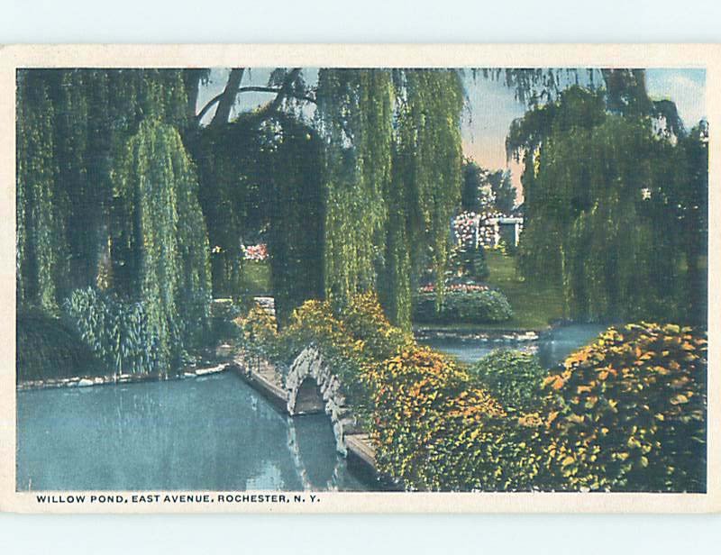 W-border WILLOW POND Rochester New York NY AD4735