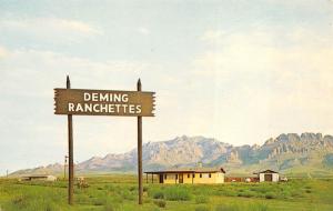 Deming New Mexico 1960s Postcard New Homes Deming Ranchettes