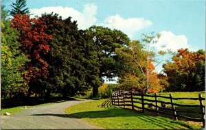 Vtg Scenic Greetings from Ashdown Arkansas AR 1970s Chrome View Postcard