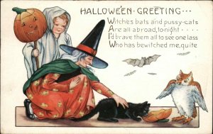 Halloween Witch Black Cat Whitney c1915 Postcard