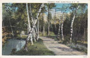 Birch Trees in Crandall Park Glens Falls NY New York pm 1934