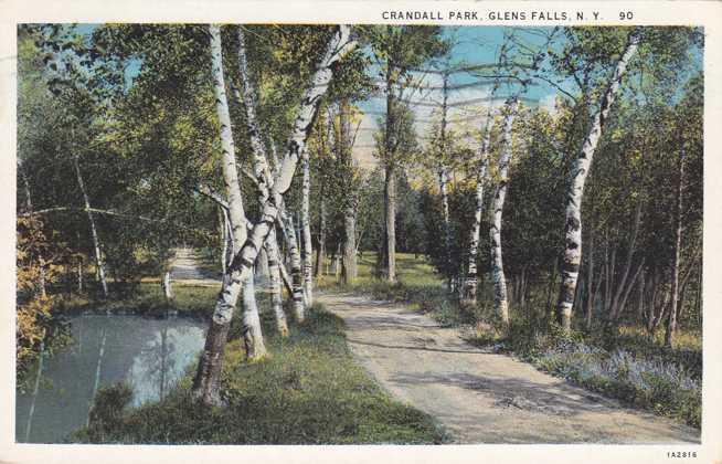 Birch Trees in Crandall Park Glens Falls NY New York pm 1934